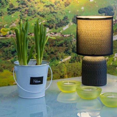Apartament Ski Sudety 卡尔帕奇 外观 照片