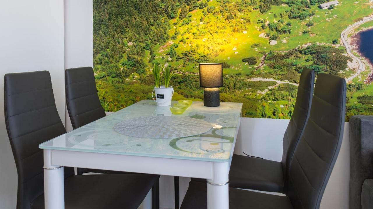 Apartament Ski Sudety 卡尔帕奇 外观 照片