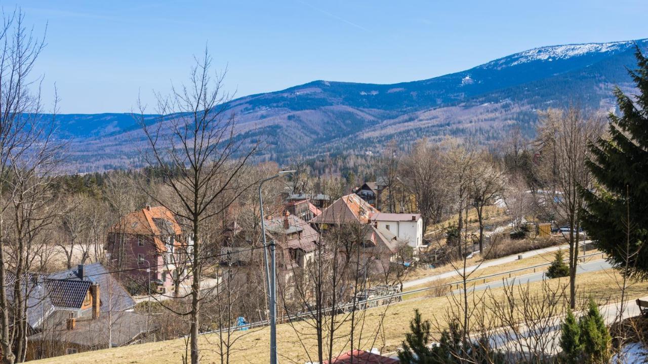 Apartament Ski Sudety 卡尔帕奇 外观 照片