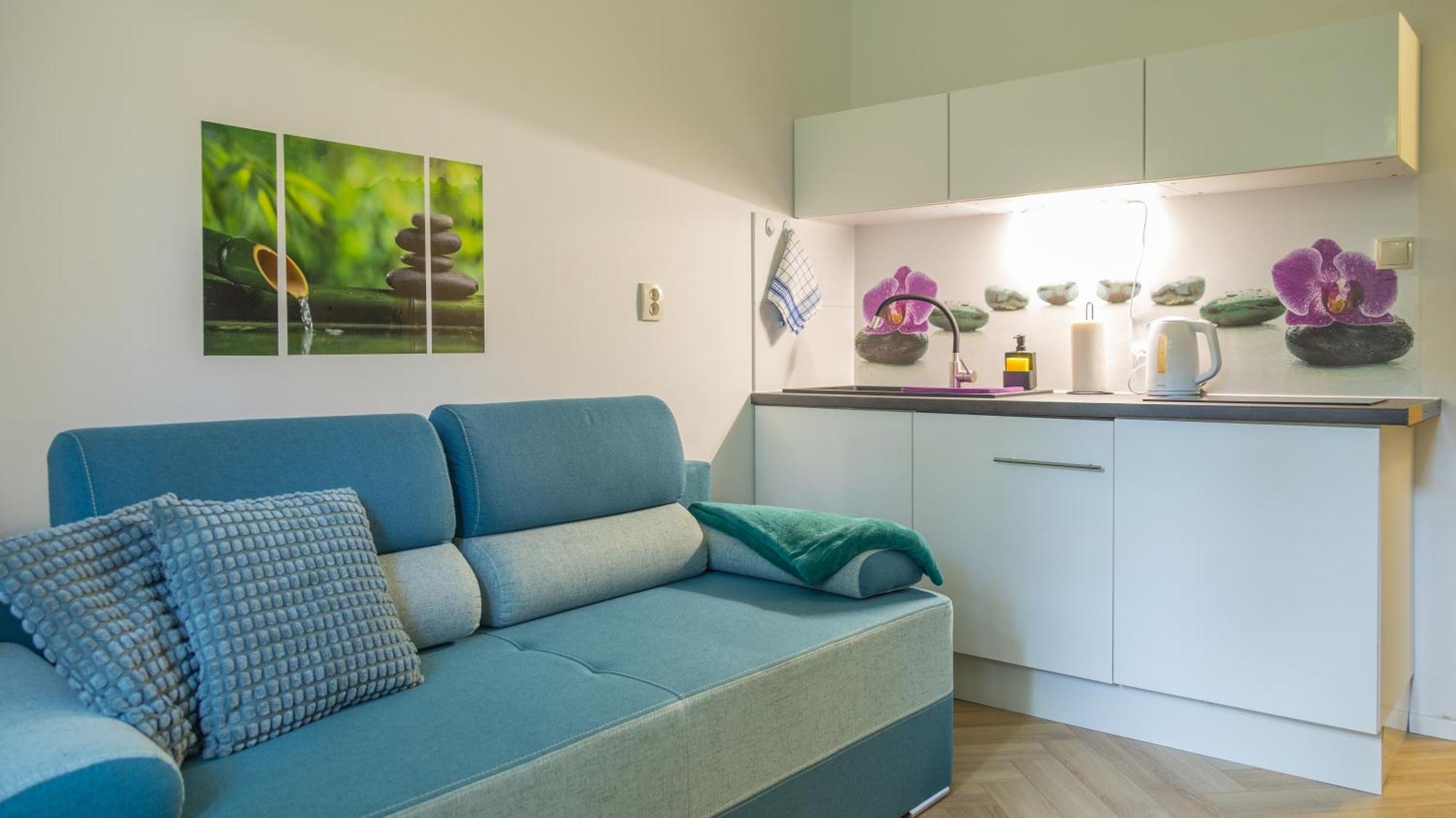 Apartament Ski Sudety 卡尔帕奇 外观 照片