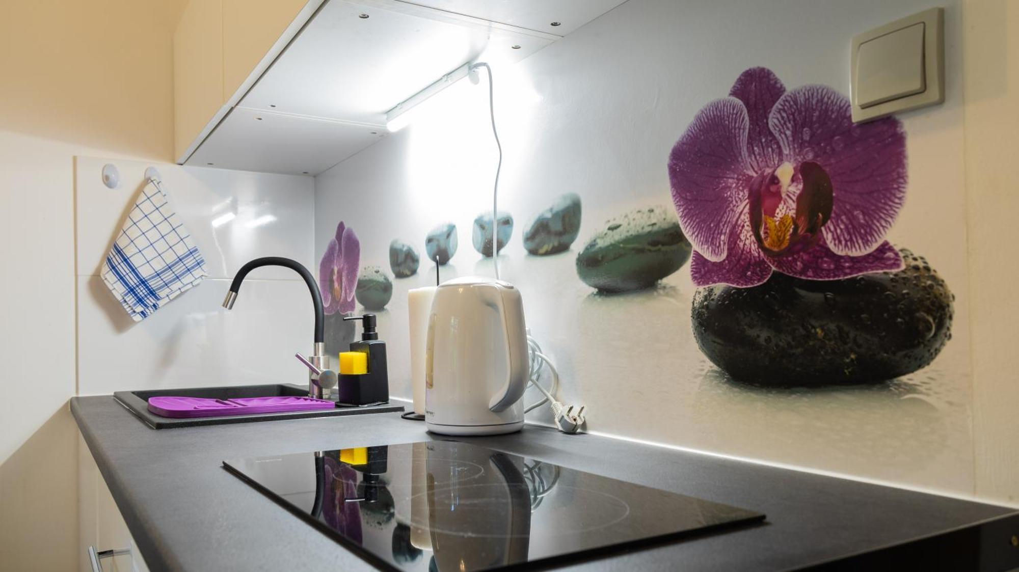 Apartament Ski Sudety 卡尔帕奇 外观 照片